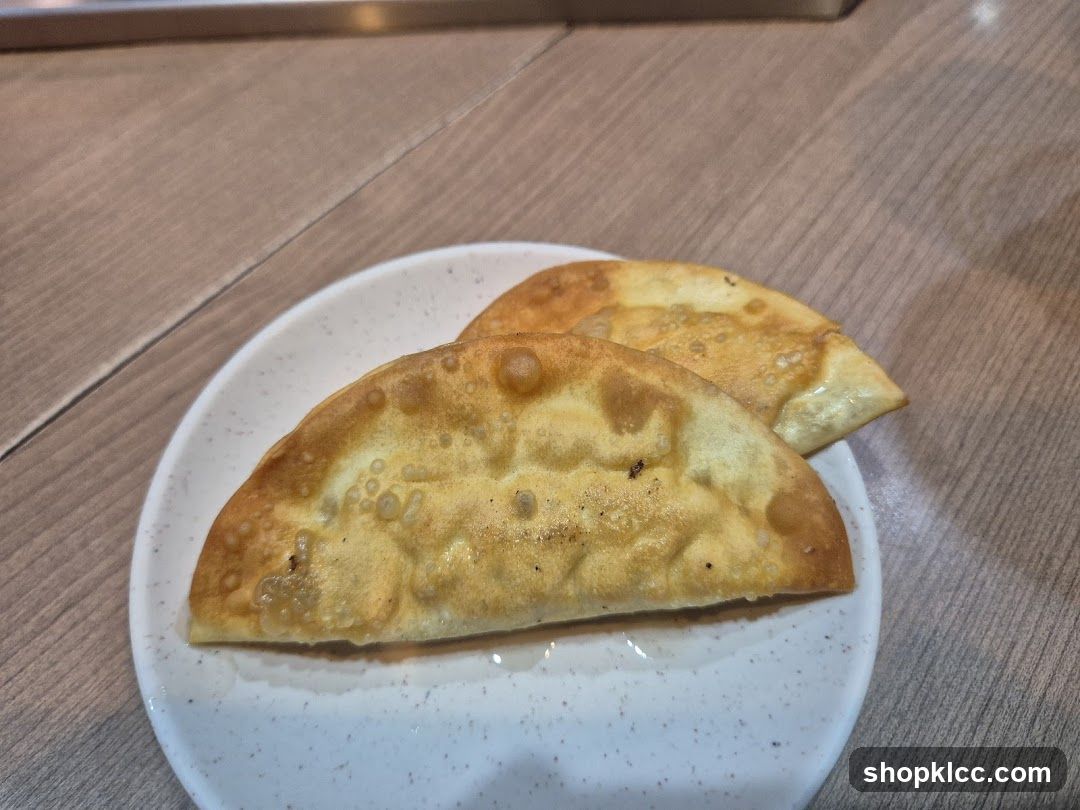 Fried Dumplings