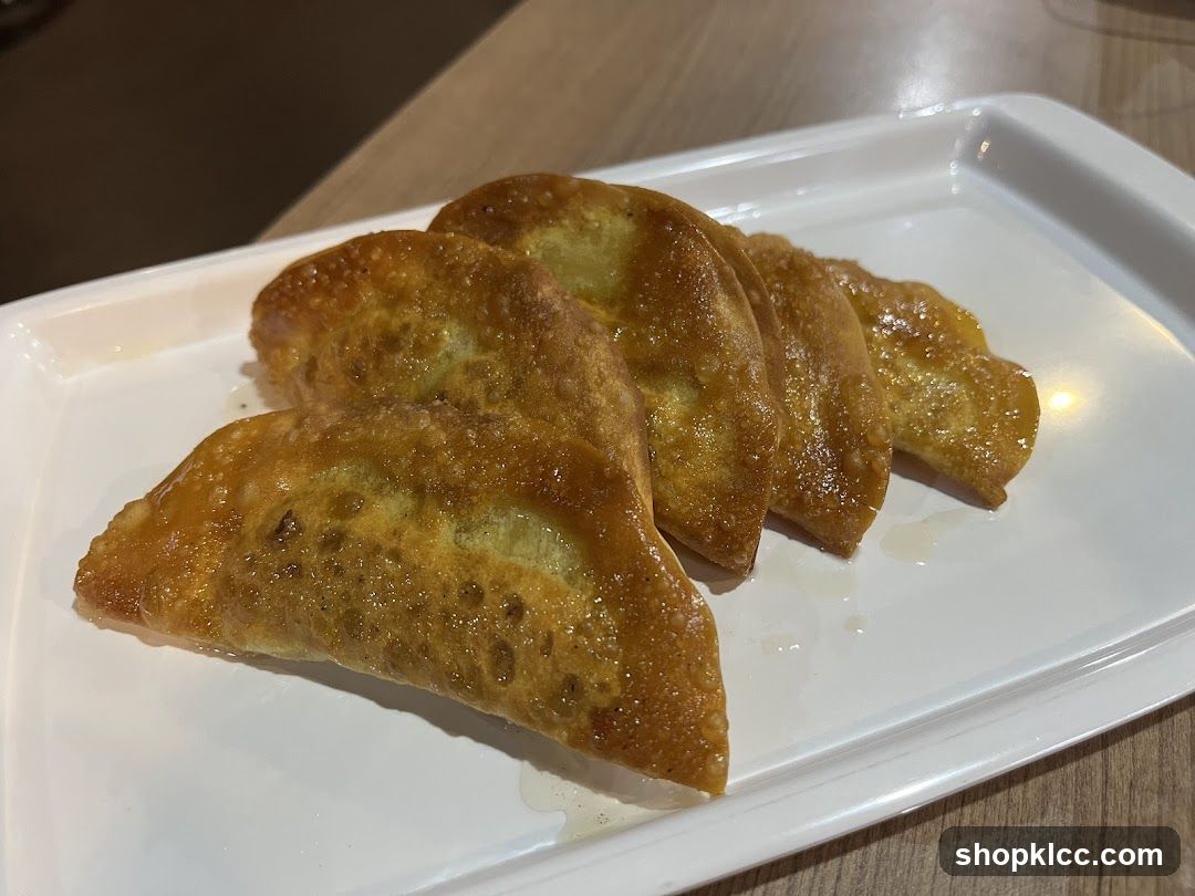 Fried Dumplings