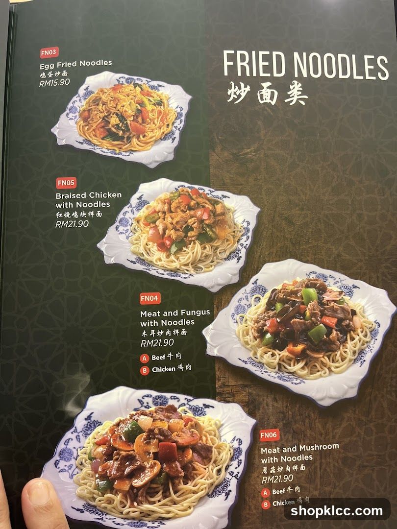 FRIED NOODLES