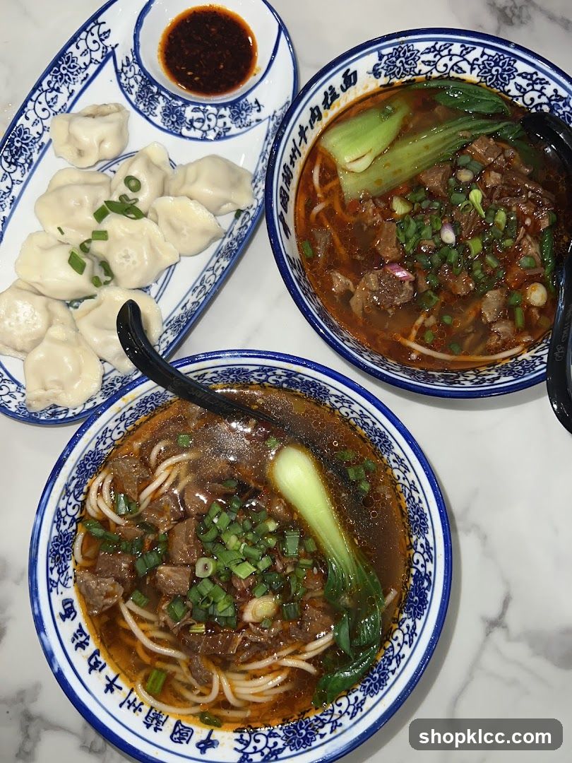 Beef Noodle Soup and Dumplings