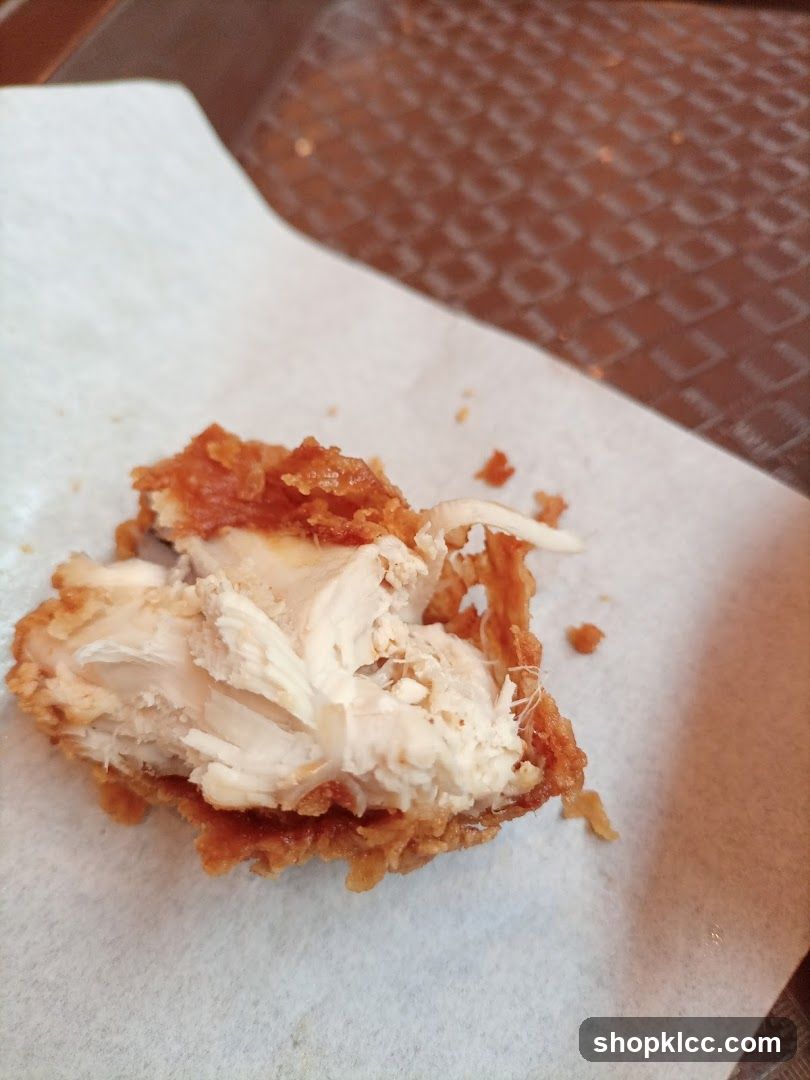 Fried Chicken Piece