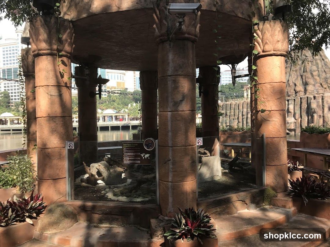 Animal Enclosure