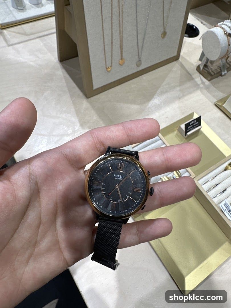Fossil Watch Display