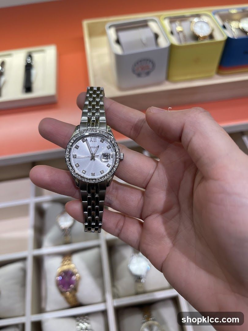 Fossil Watch Display