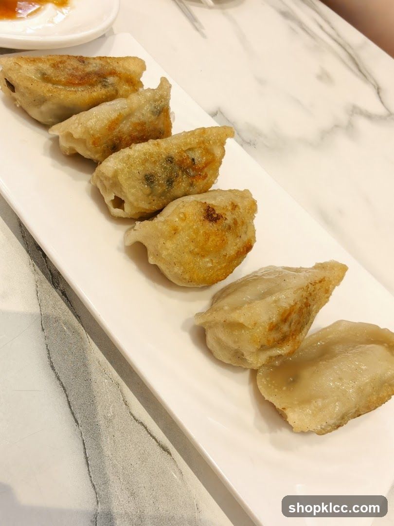 Pan-fried dumplings