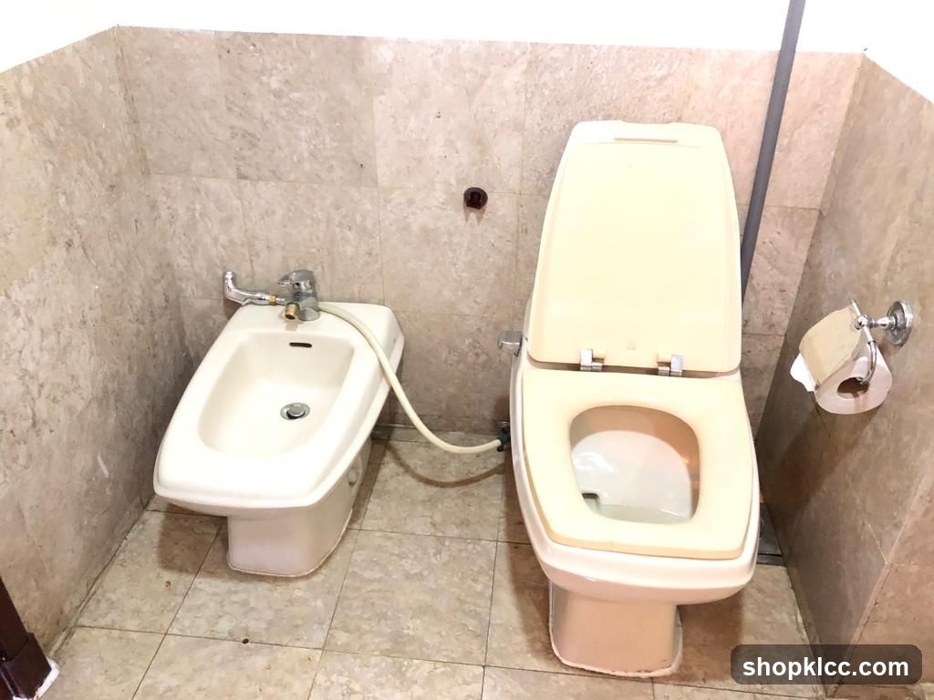Bathroom with Bidet and Toilet