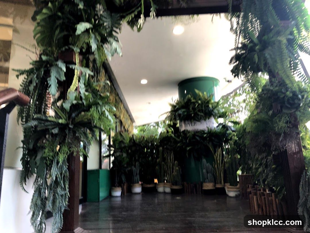 Indoor plants and decor