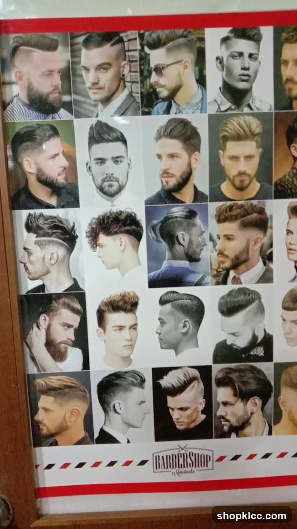Barbershop Hairstyle Catalog
