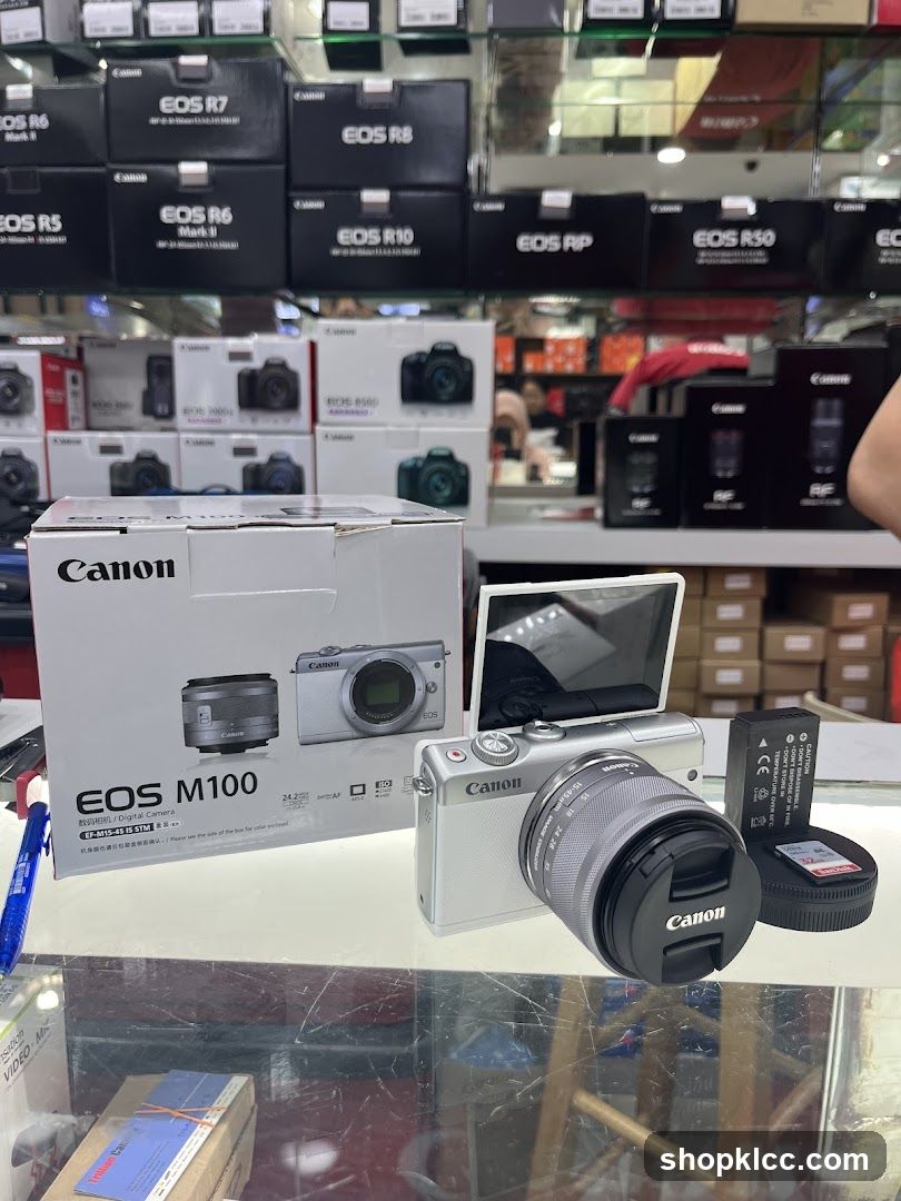 Canon Camera Display