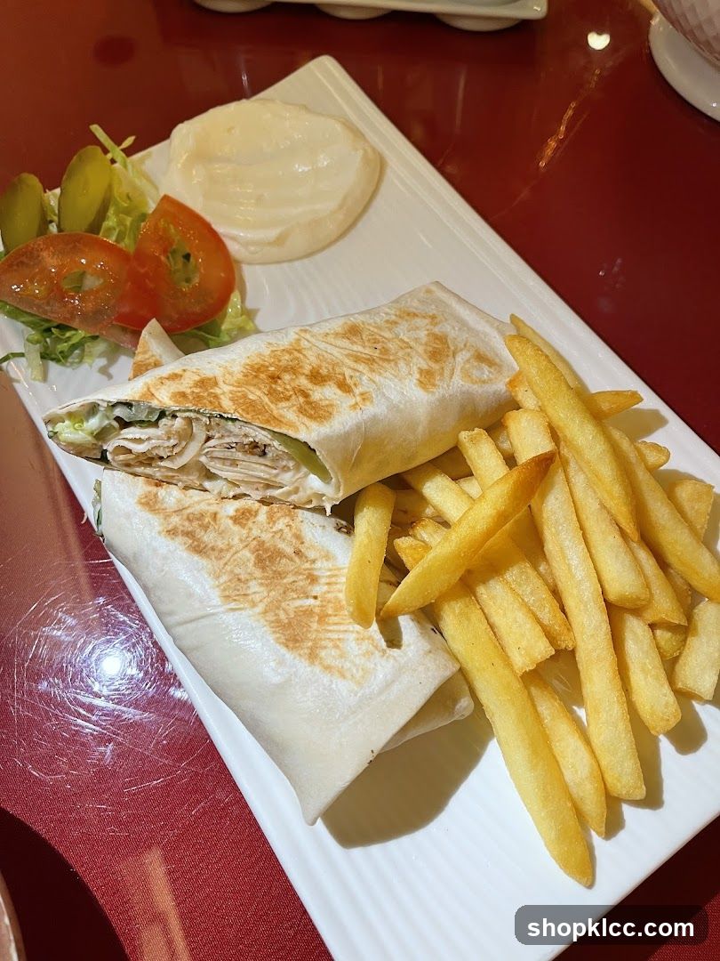 Grilled Wrap with Fries and Salad