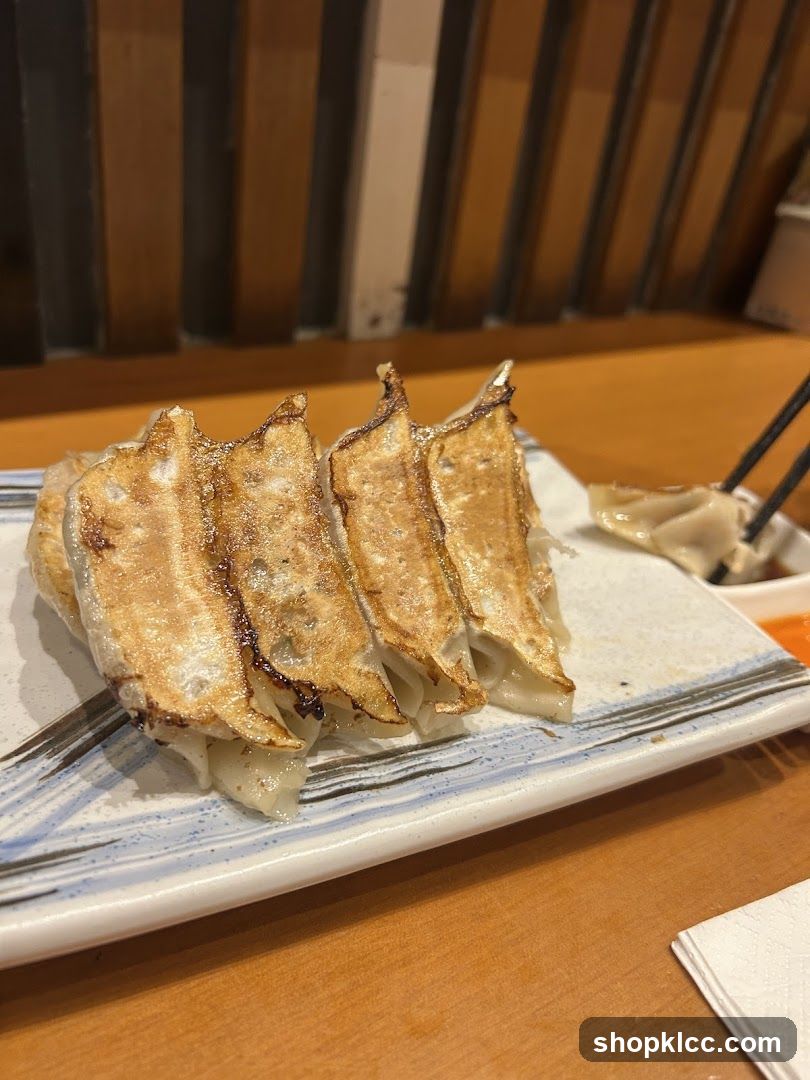 Gyoza on a plate