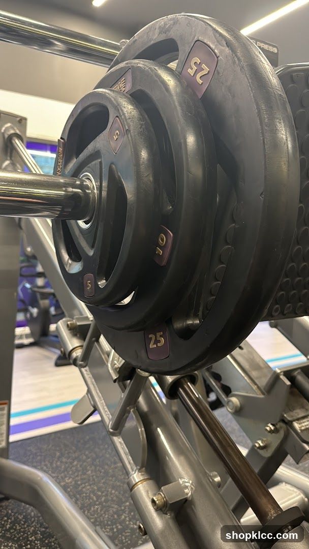 Weight Plates on Gym Equipment