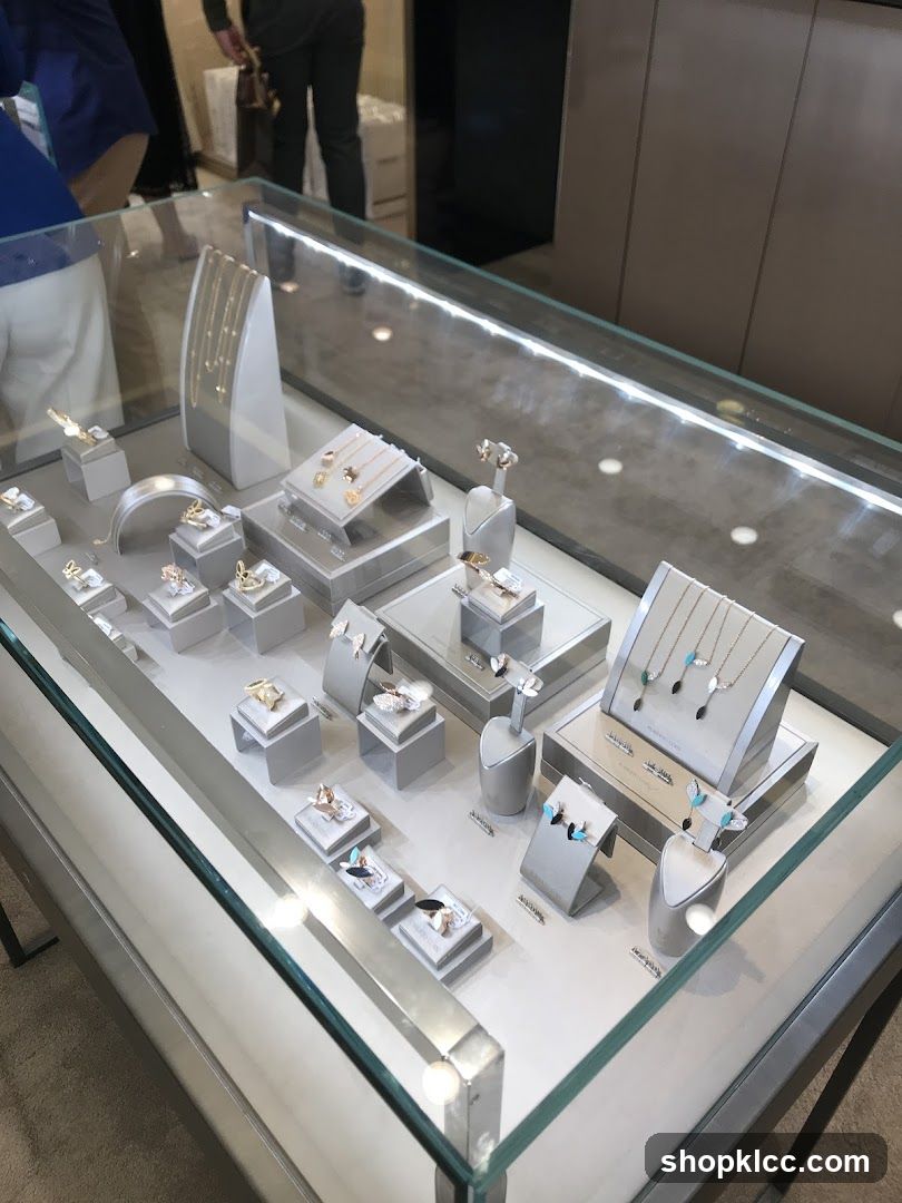 Jewelry Display Case