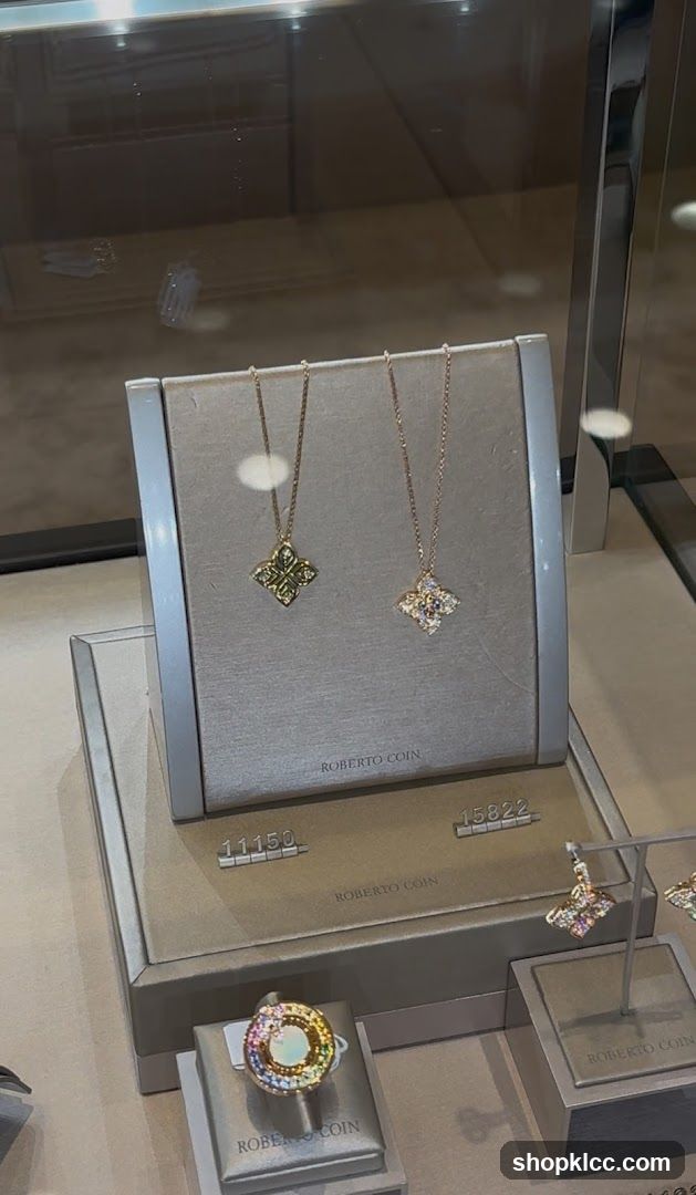 Jewelry Display Case