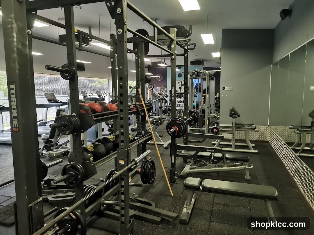 Gym Equipment