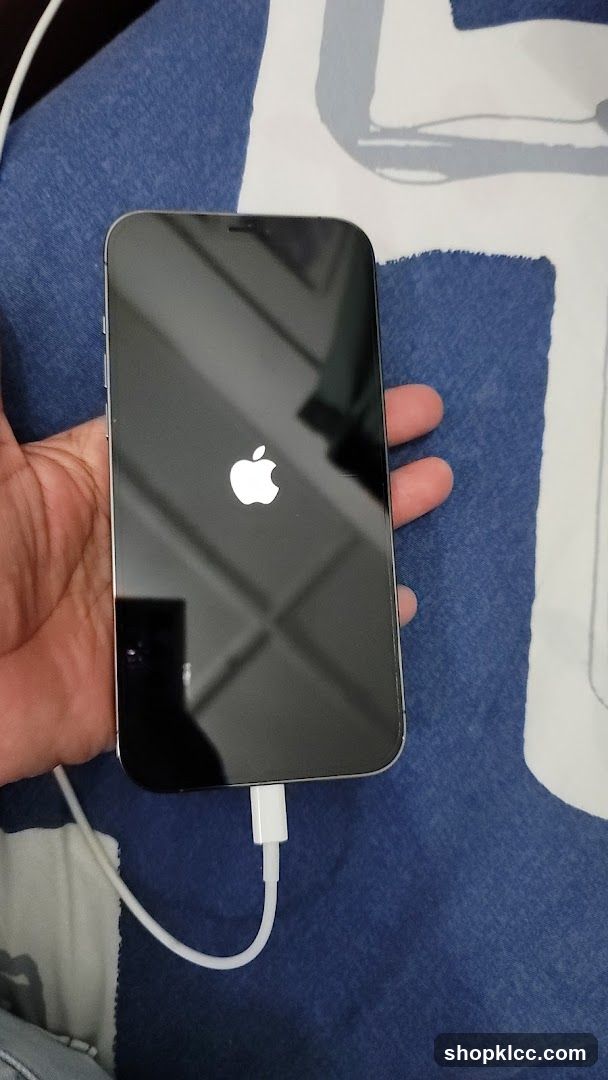 iPhone on Charging Cable