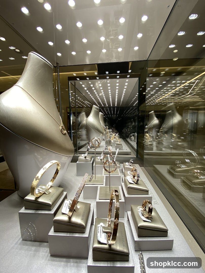 Jewelry Display Case