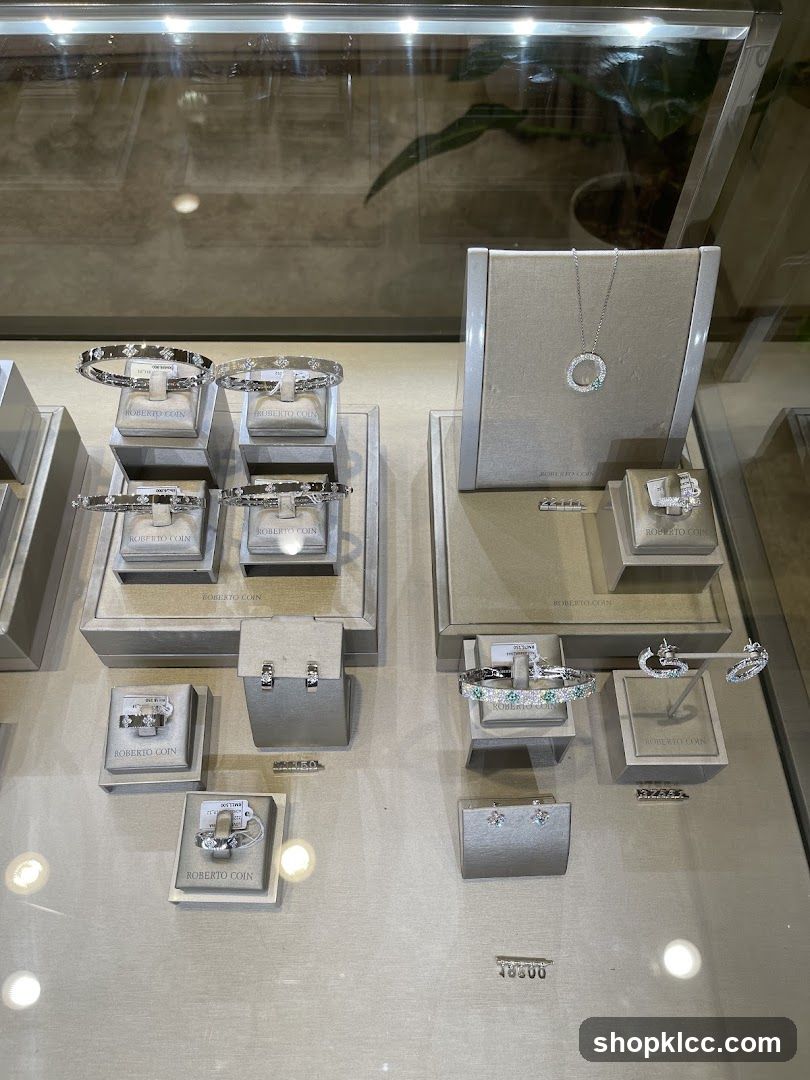 Jewelry Display Case
