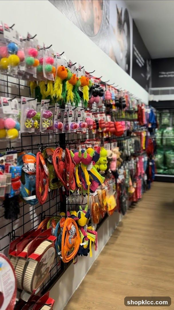 Pet Toy Store Aisle