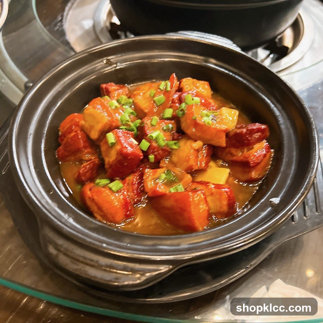 Savory Braised Dish in Clay Pot