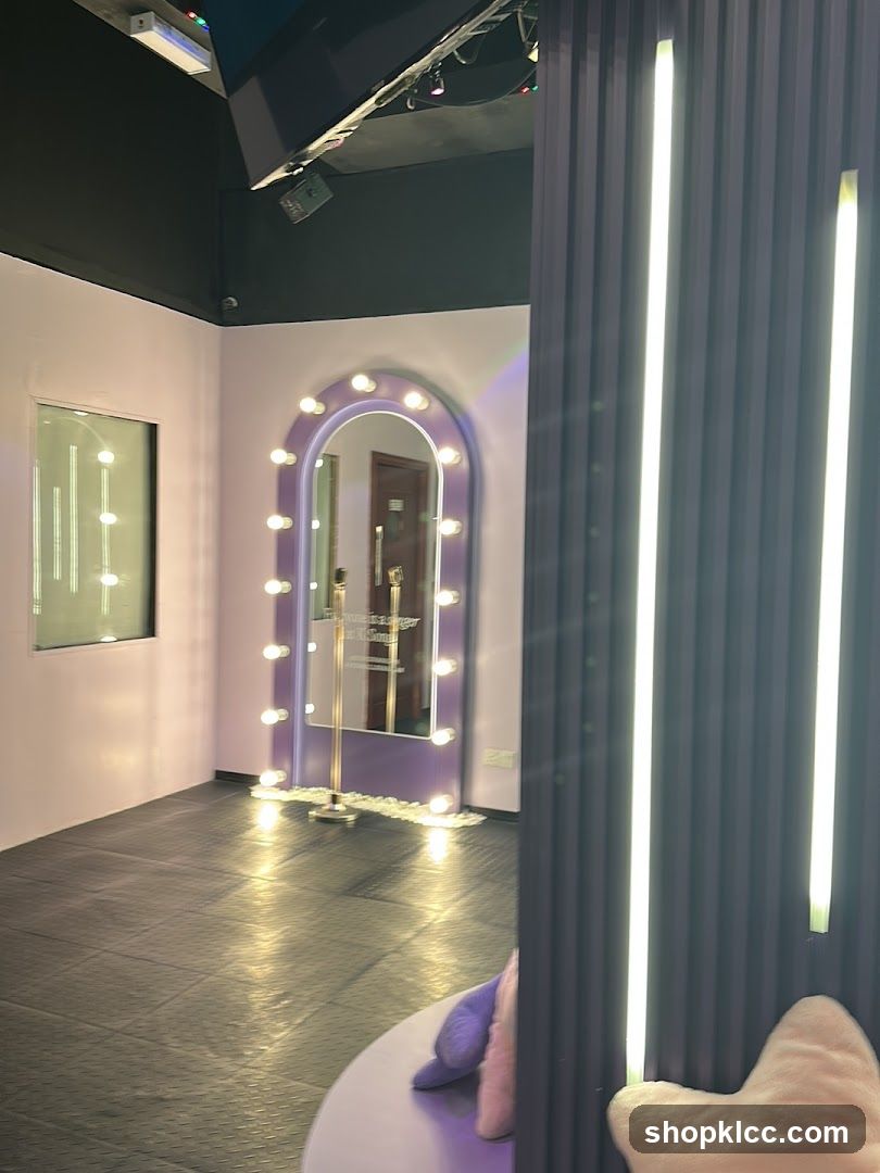 Vanity Mirror Area