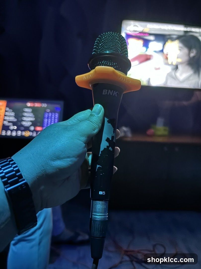 Microphone in a Karaoke Room