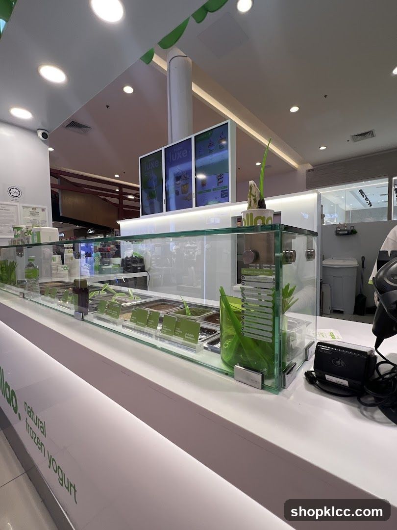 Frozen Yogurt Counter