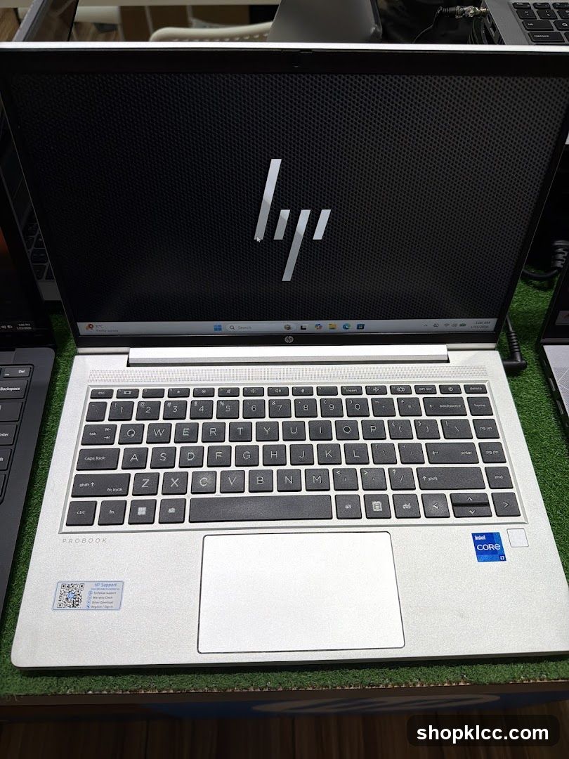 HP ProBook Laptop Display