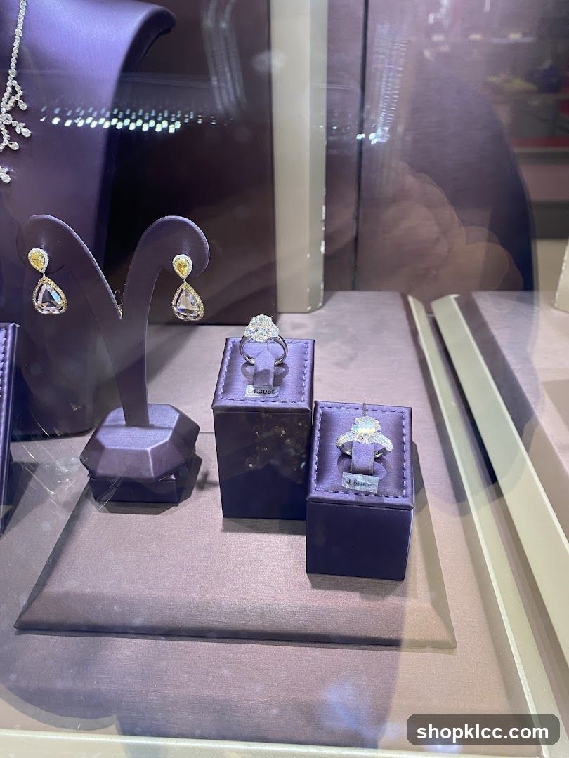 Jewelry Display Case