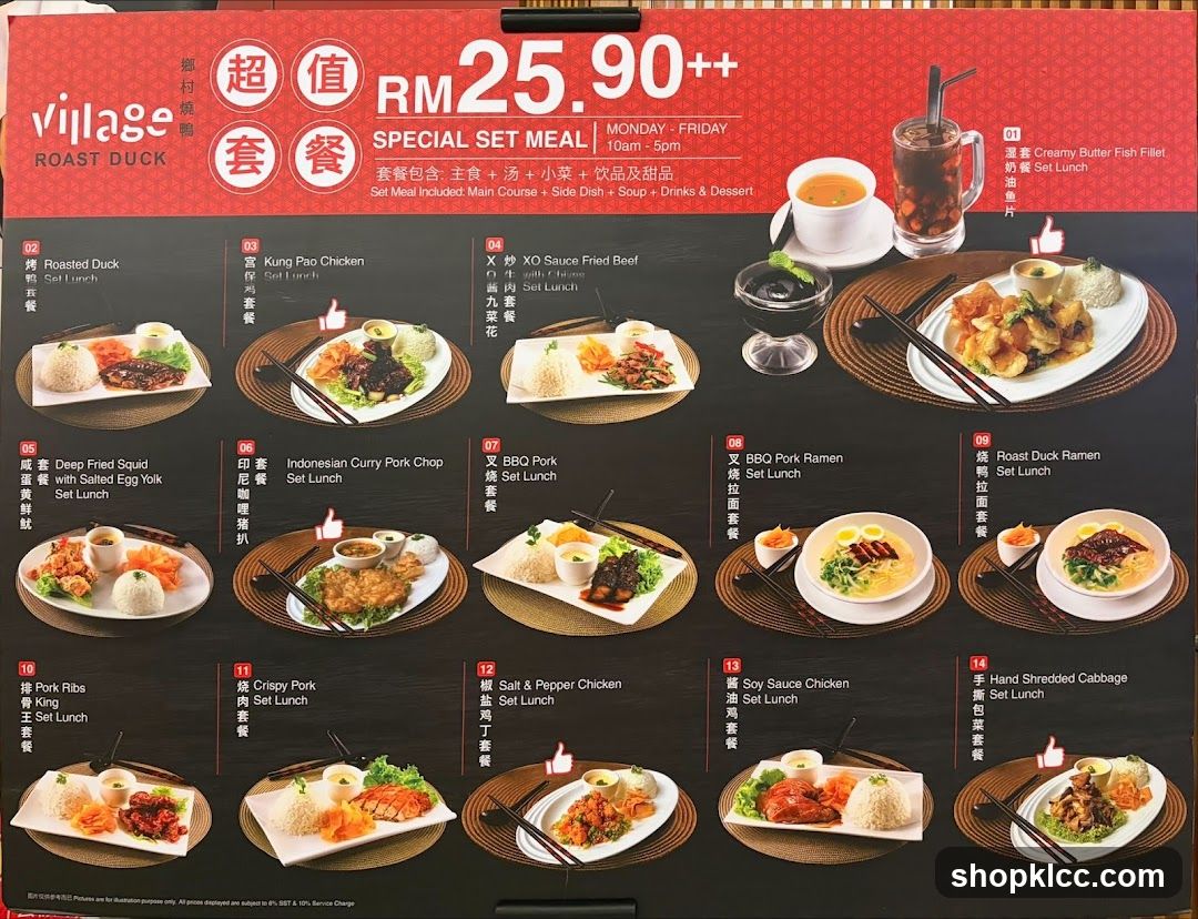 Village Roast Duck Special Set Meal