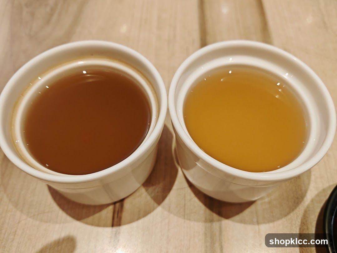 Two Bowls of Broth