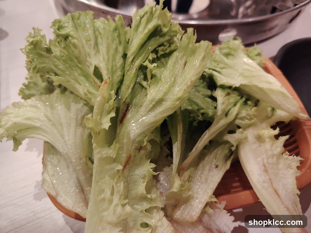 Fresh Lettuce