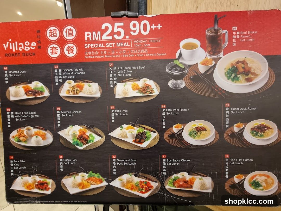 Village Roast Duck Special Set Meal