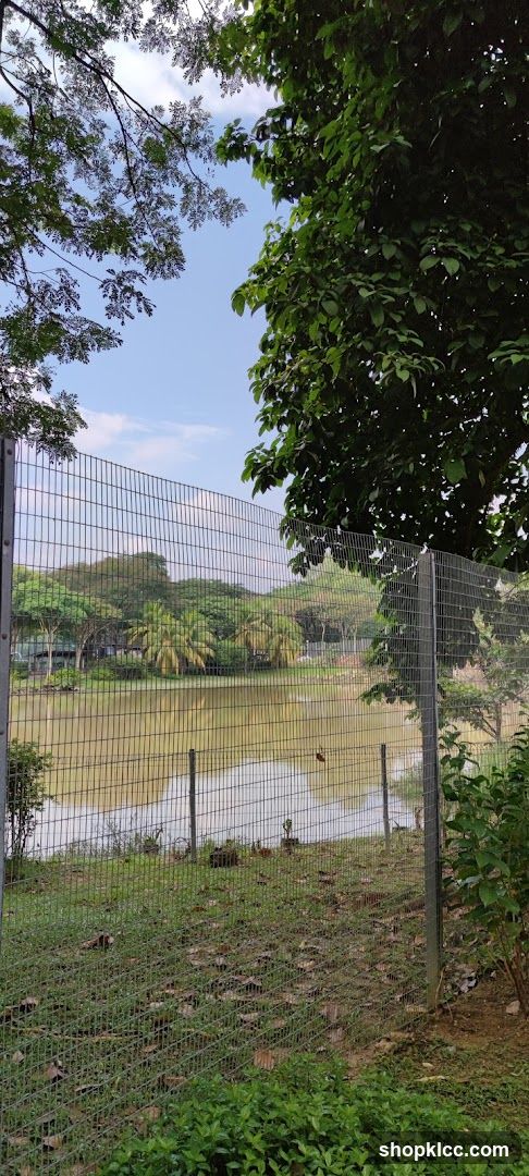 Park with a pond