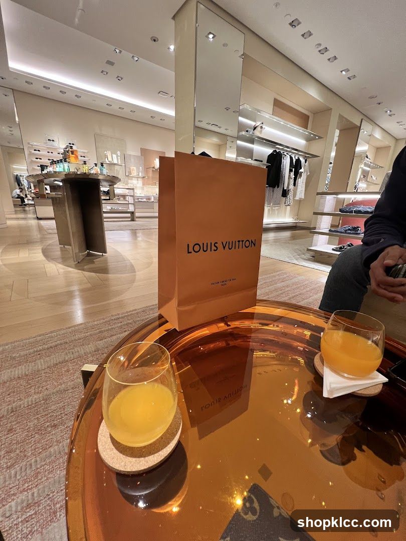 Louis Vuitton Shopping Bag and Drinks