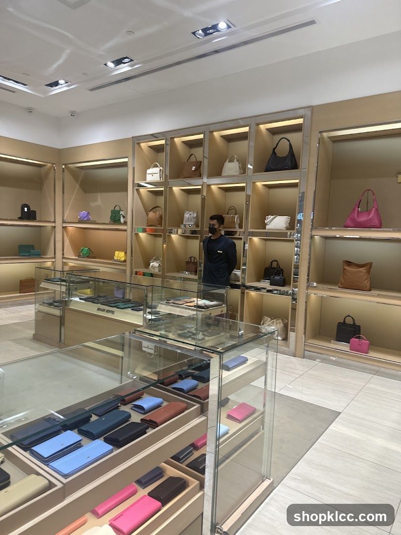 Luxury Handbag and Wallet Store