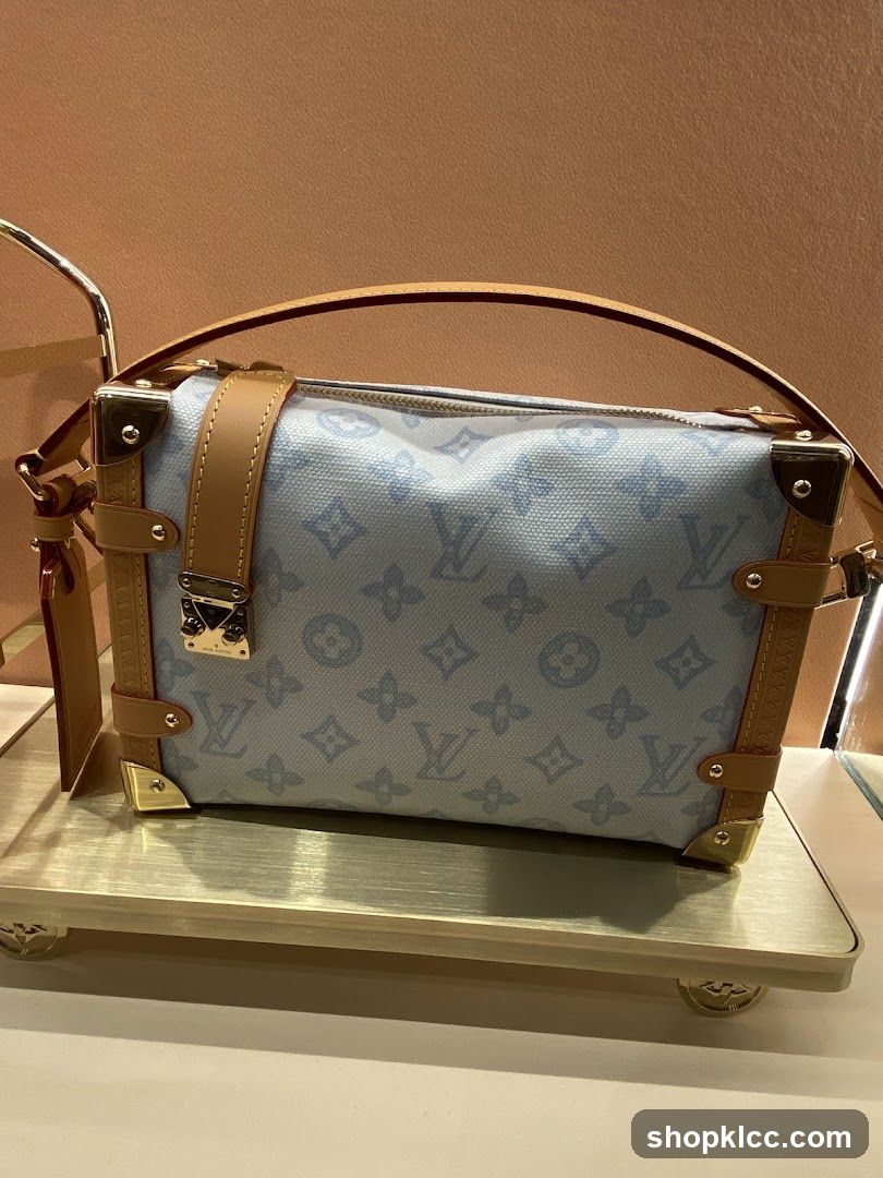 Louis Vuitton Handbag