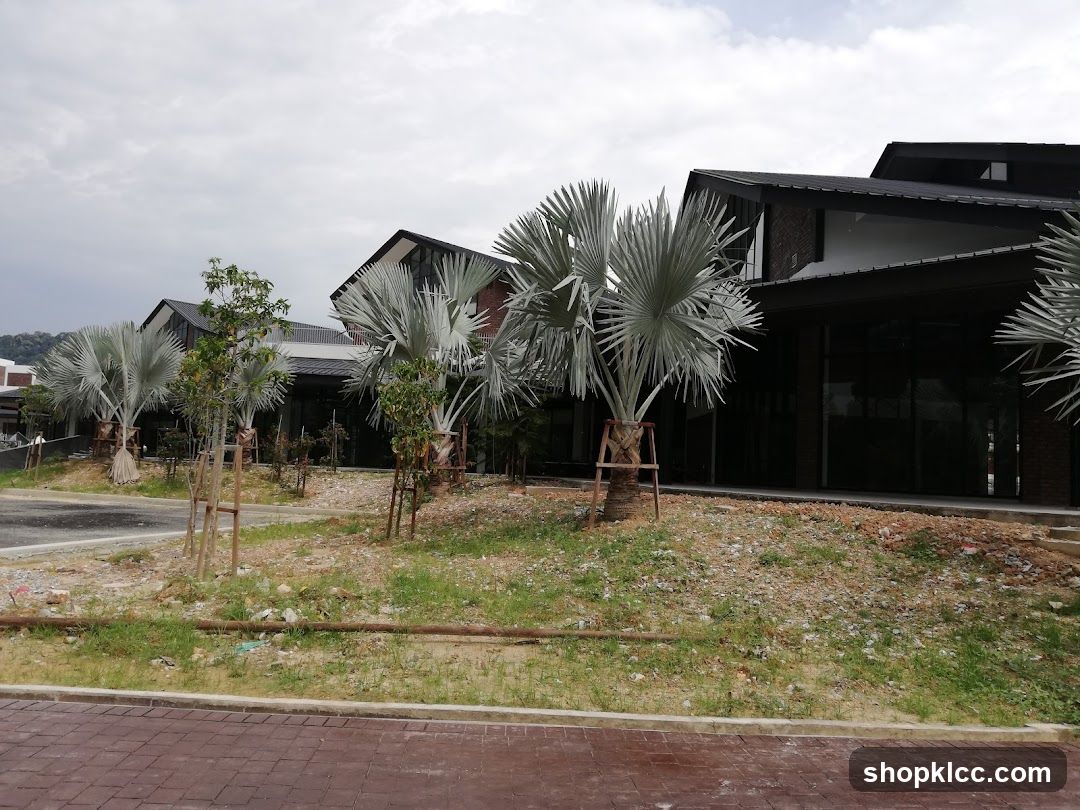 Modern Buildings with Palm Trees