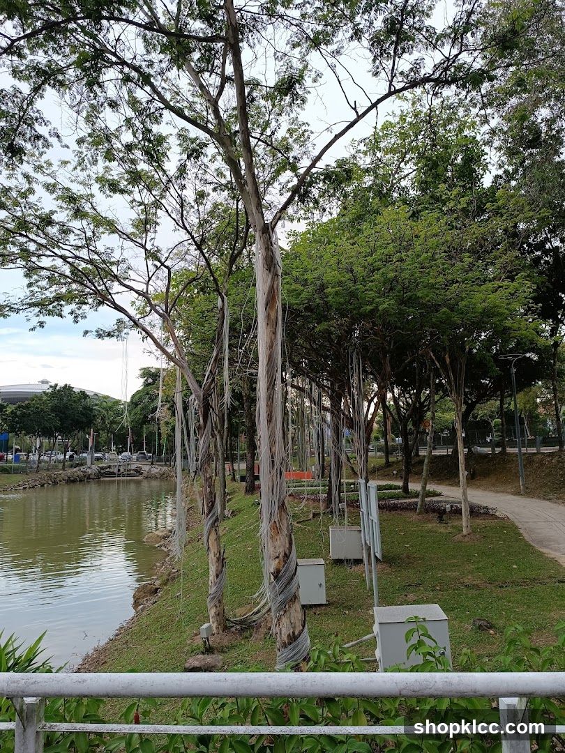 Park with a pond and trees