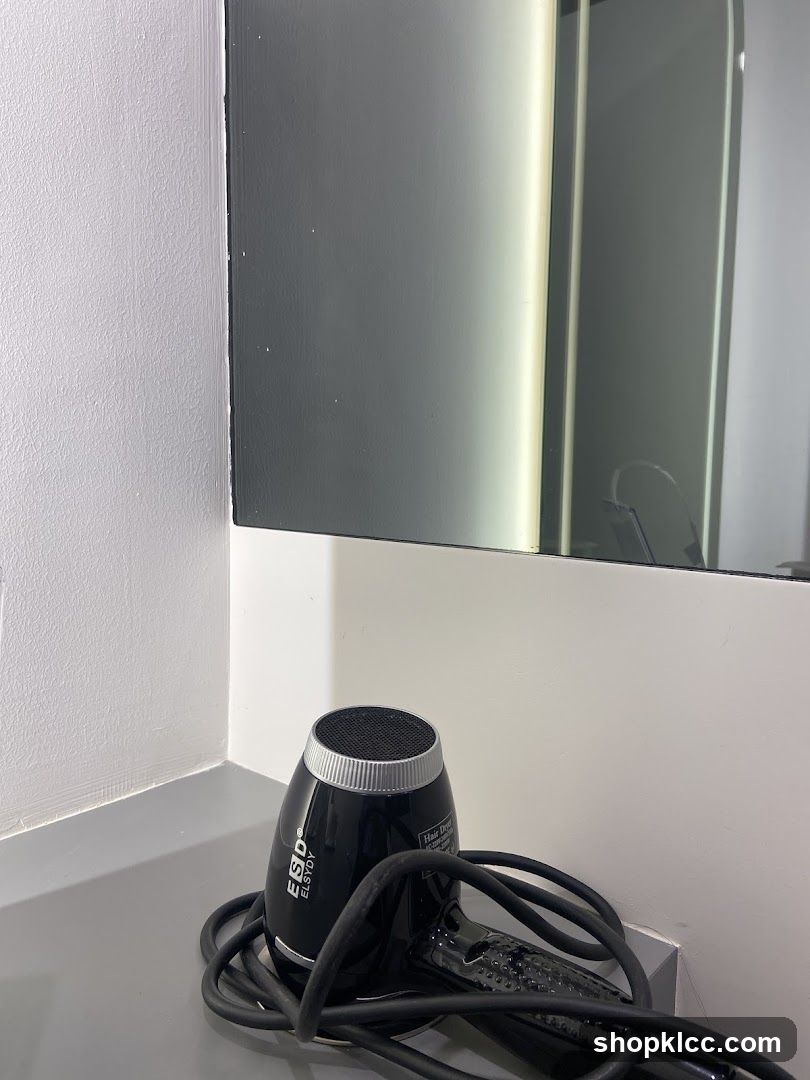 Black Hair Dryer