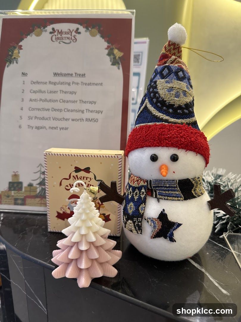 Christmas Decorations and Welcome Treat List
