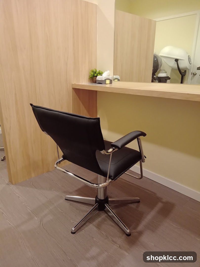Hair Salon Chair