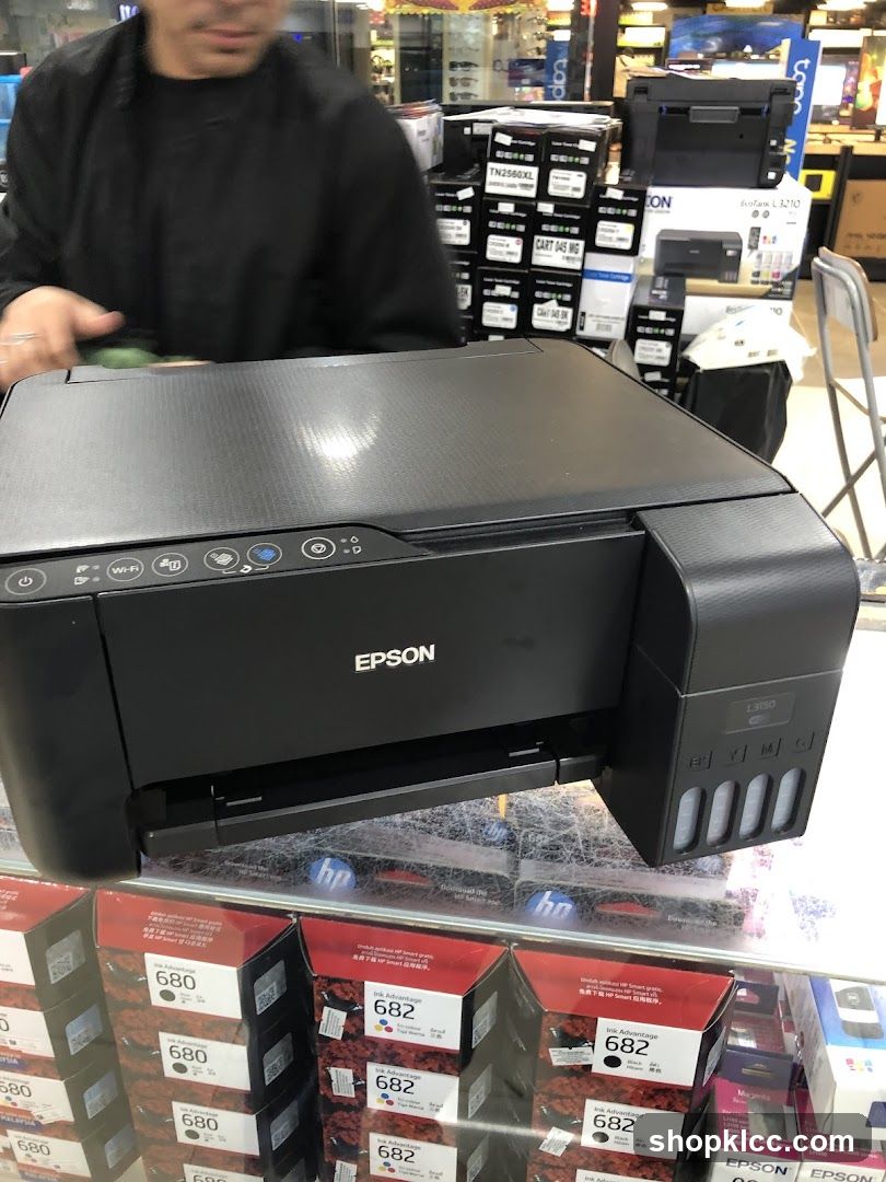 Epson Printer and Ink Cartridges
