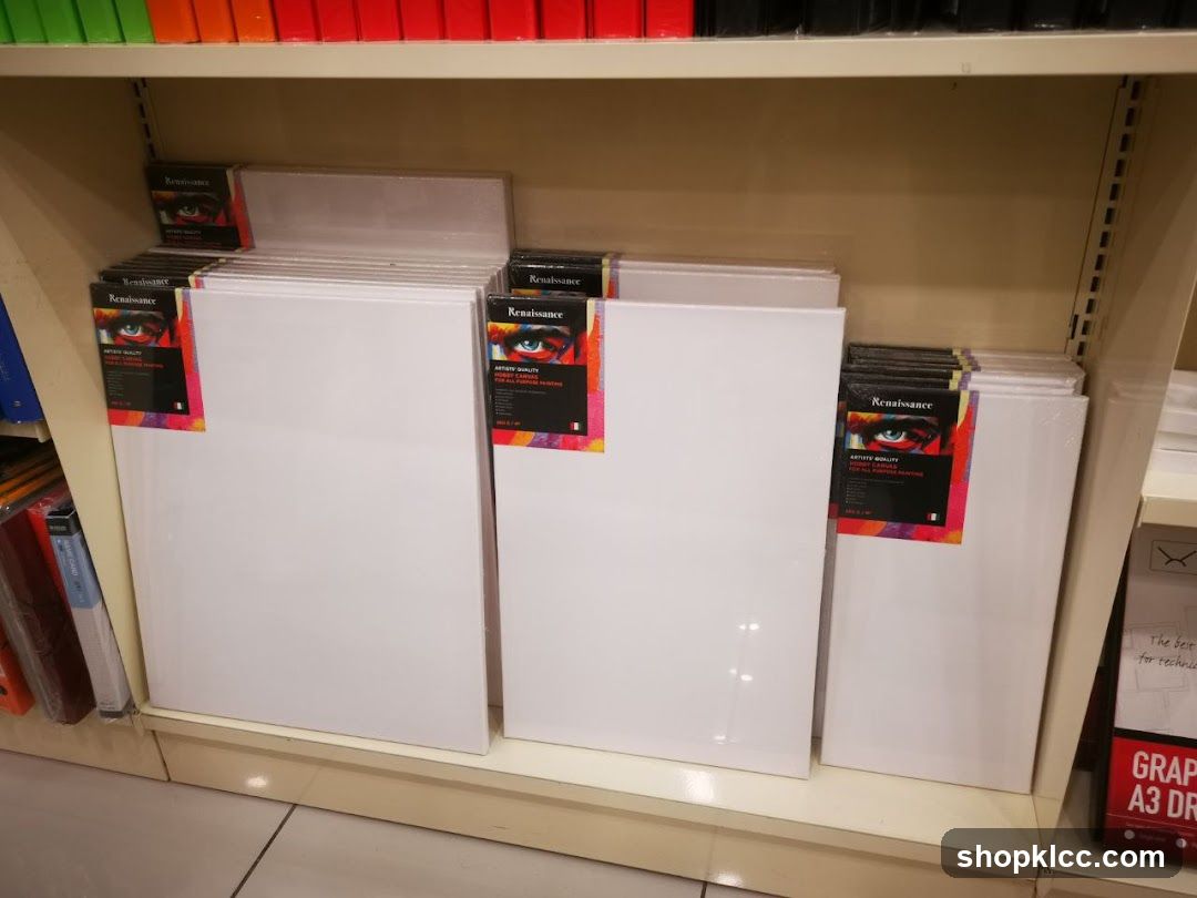 Art Canvases on Shelves
