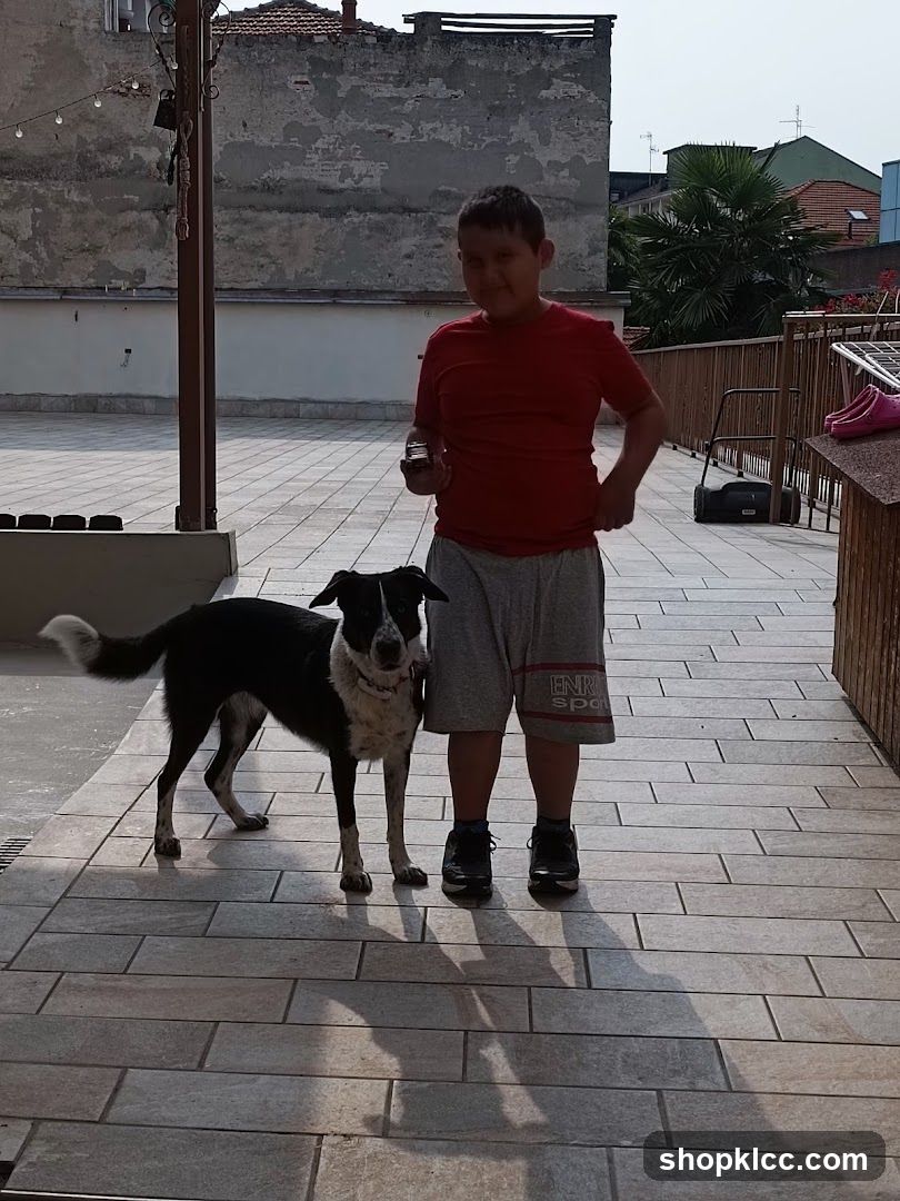 Boy and dog on a patio