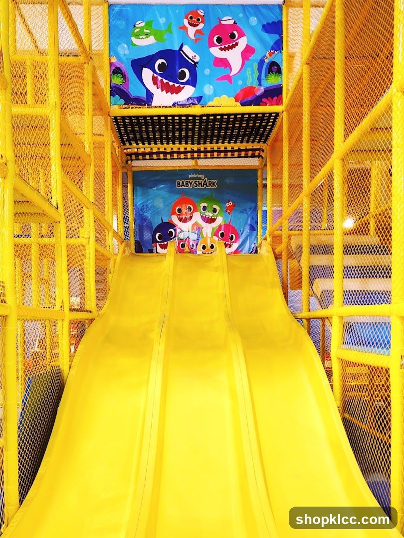 Baby Shark Themed Indoor Playground