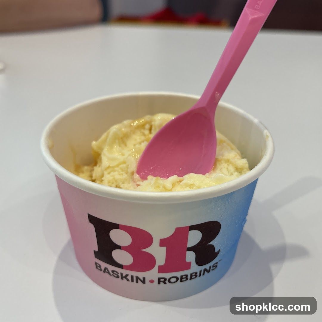 Baskin Robbins Ice Cream Cup