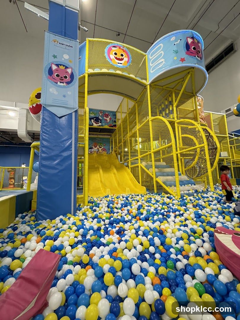Indoor Playground with Ball Pit