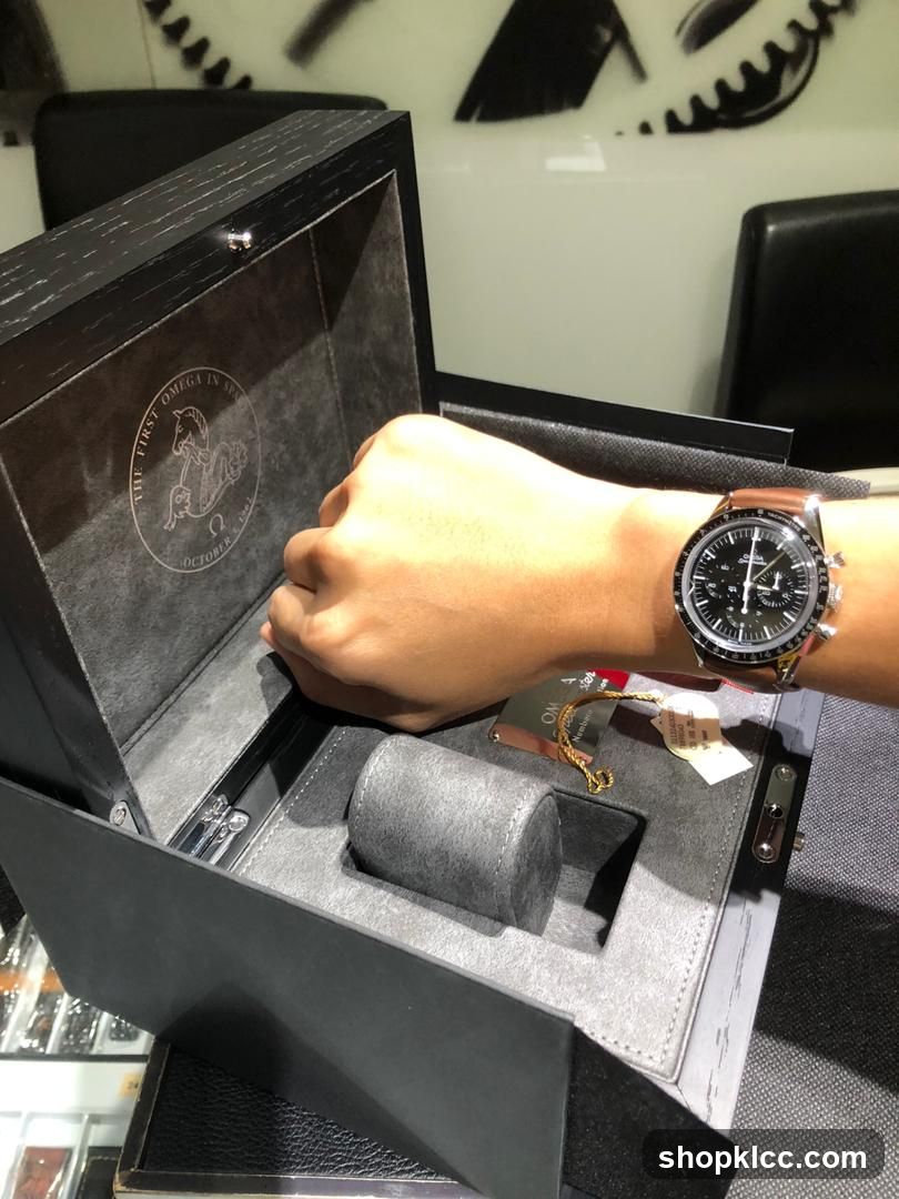 Luxury Watch Display