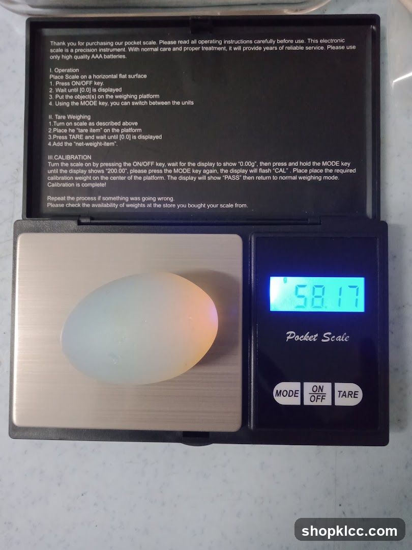 Pocket Scale with Egg
